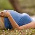 Душица при беременности: польза и вред ароматного растения для будущих мам
