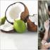 Aceite de coco: propiedades, beneficios y aplicaciones