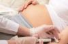 Vývoj dieťaťa: druhý trimester tehotenstva