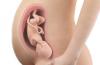 Kolcanje otroka med intrauterinim razvojem: ali se jih je treba bati?