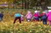 Обобщение на разходка в средната група на детската градина