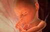 Foto del feto, foto del abdomen, ecografía y vídeo sobre el desarrollo del niño. ¿Cuánto pesa el feto a las 26 semanas?