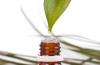 Үс ургуулах цайны модны тос: Эфирийн тос үсний ургалтыг сайжруулдаг уу?